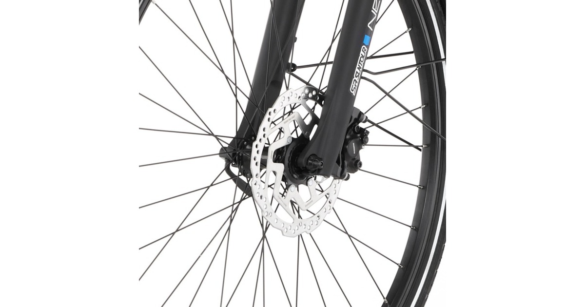 FISCHER Fahrrad Viator 2.0 Damen, Pedelec(anthrazit, 282, 44 cm Rahem)