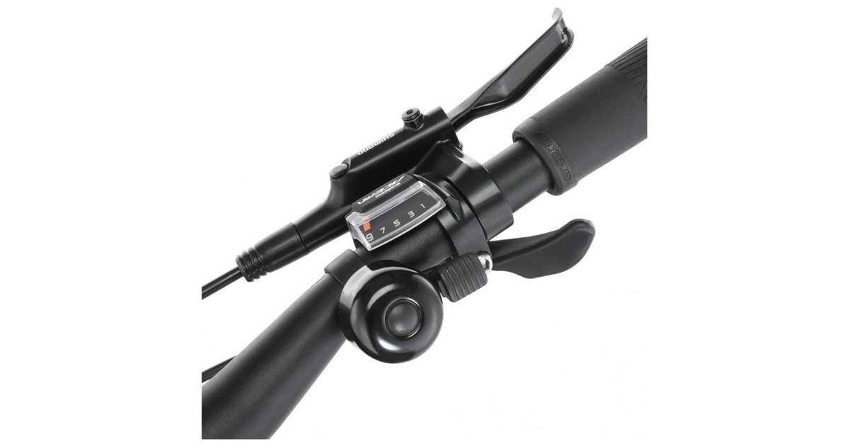 FISCHER Fahrrad Viator 4.2i Herren, Pedelec(schwarz, 28cm, 55 cm Rahmen)