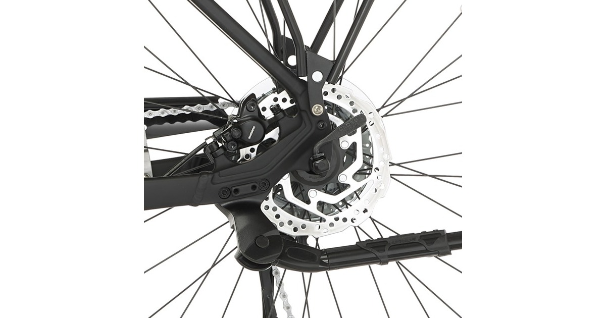 FISCHER Fahrrad Viator 4.2i Herren, Pedelec(schwarz, 28cm, 55 cm Rahmen)