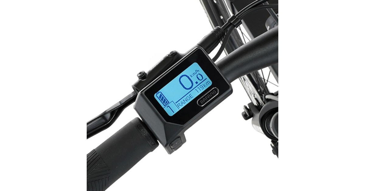 FISCHER Fahrrad Viator 4.2i, Pedelec(schwarz)