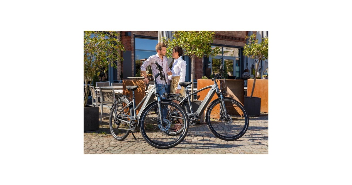 FISCHER Fahrrad Viator 5.0i Damen, Pedelec(grau, 44 cm Rahmen, 28