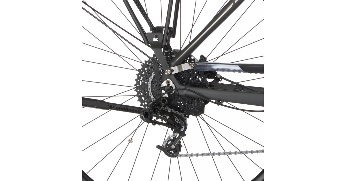 FISCHER Fahrrad Viator 5.0i Herren, Pedelec(grau, 50 cm Rahmen, 28