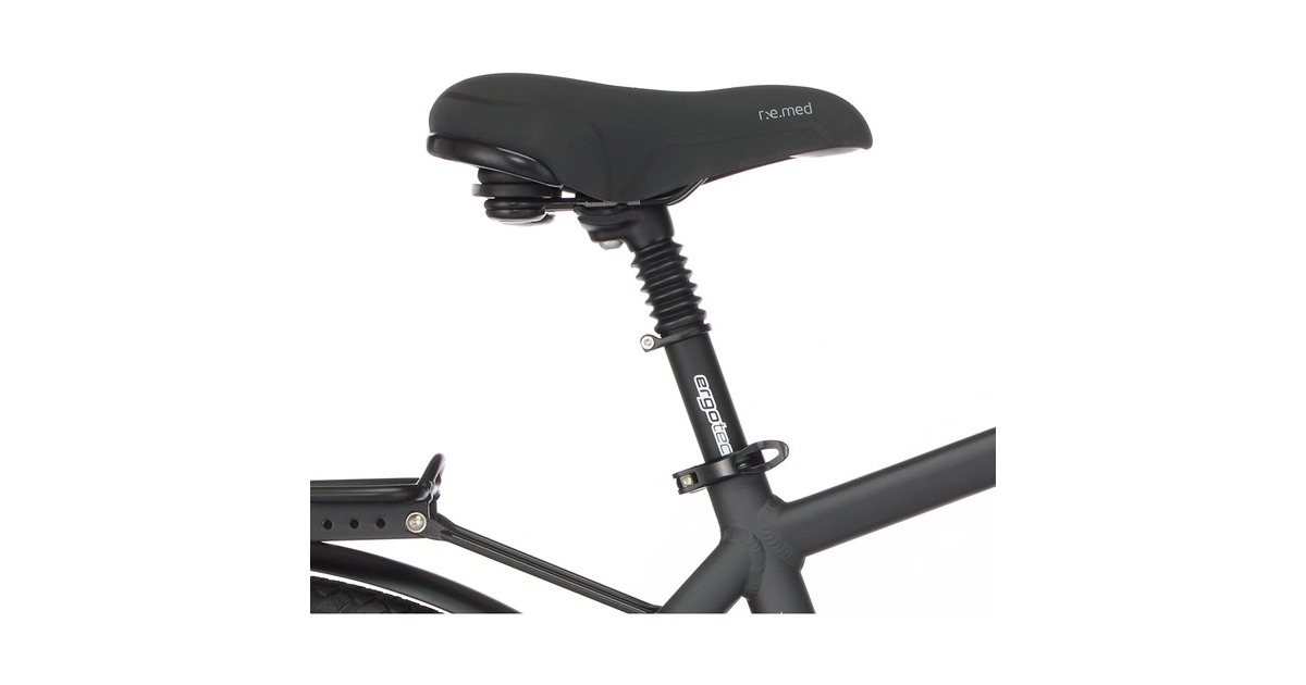 FISCHER Fahrrad Viator 5.0i Herren, Pedelec(grau, 50 cm Rahmen, 28