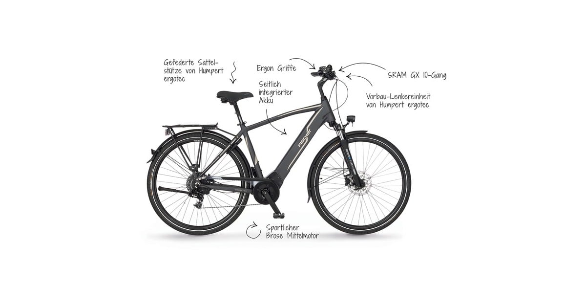 FISCHER Fahrrad Viator 5.0i Herren, Pedelec(grau, 55 cm Rahmen, 28