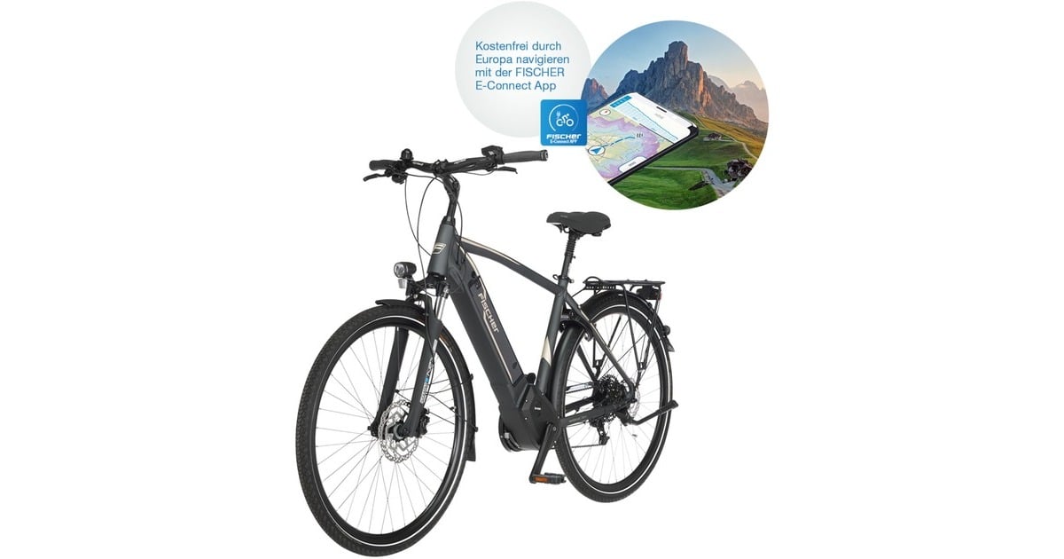 FISCHER Fahrrad Viator 5.0i Herren, Pedelec(grau, 55 cm Rahmen, 28