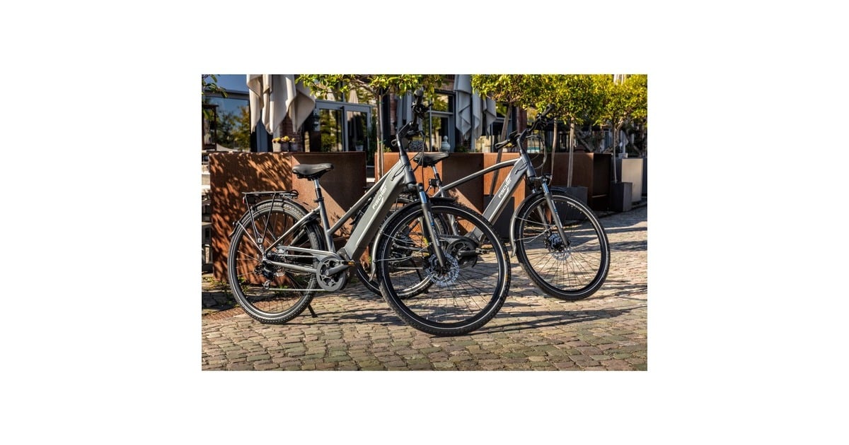 FISCHER Fahrrad Viator 5.0i Herren, Pedelec(grau, 55 cm Rahmen, 28