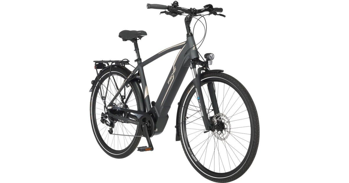 FISCHER Fahrrad Viator 5.0i Herren, Pedelec(grau, 55 cm Rahmen, 28