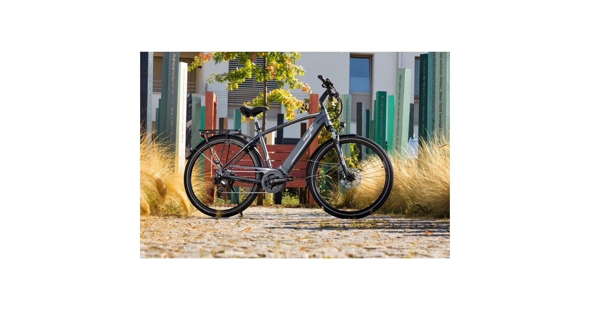 FISCHER Fahrrad Viator 5.0i Herren, Pedelec(grau, 55 cm Rahmen, 28