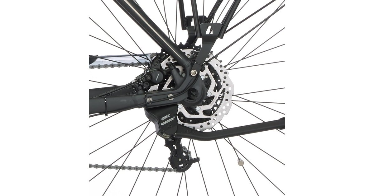 FISCHER Fahrrad Viator 5.0i Herren, Pedelec(grau, 55 cm Rahmen, 28