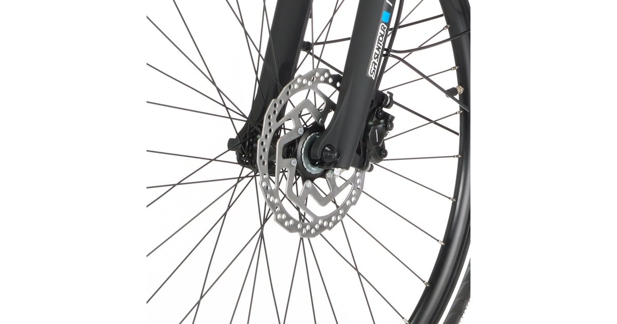 FISCHER Fahrrad Viator 5.0i Herren, Pedelec(grau, 55 cm Rahmen, 28