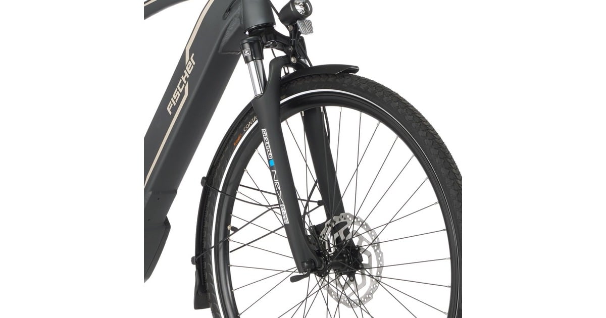 FISCHER Fahrrad Viator 5.0i Herren, Pedelec(grau, 55 cm Rahmen, 28