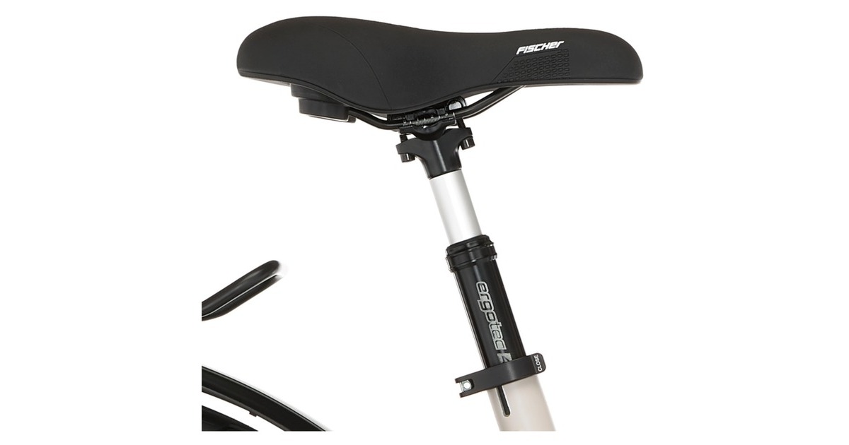 FISCHER Fahrrad Viator 7.0i, Pedelec(hellgrau, 28