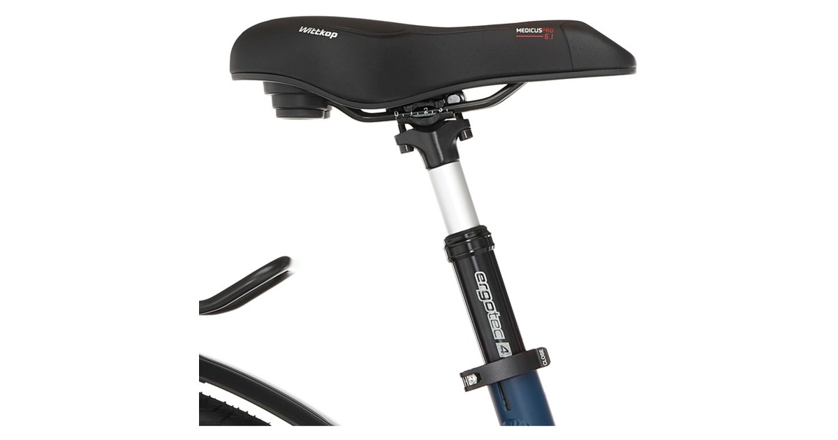 FISCHER Fahrrad Viator 8.0i, Pedelec(blau, 28