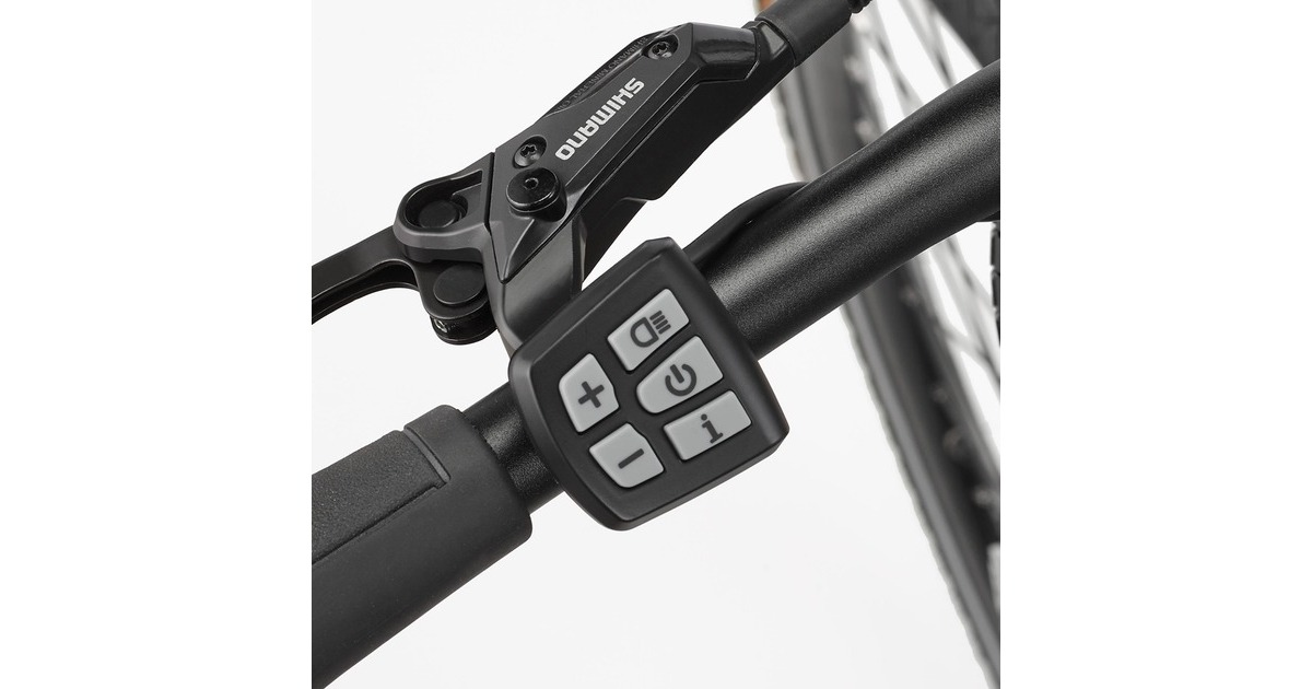 FISCHER Fahrrad Viator ETD 1861, Pedelec(schwarz (matt))