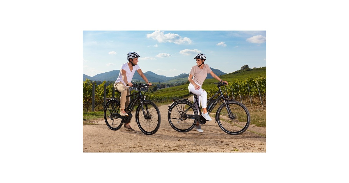 FISCHER Fahrrad Viator ETD 1861, Pedelec(schwarz (matt))