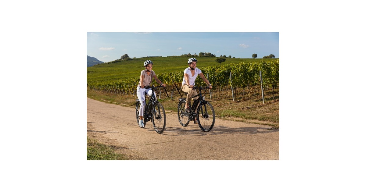 FISCHER Fahrrad Viator ETD 1861, Pedelec(schwarz (matt))