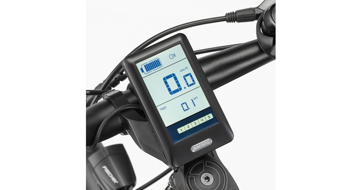 FISCHER Fahrrad Viator ETD 1861, Pedelec(schwarz (matt))