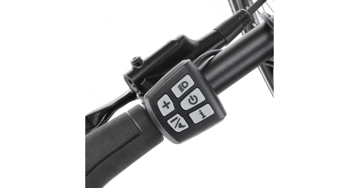 FISCHER Fahrrad Viator ETD 1861, Pedelec(schwarz (matt), 28