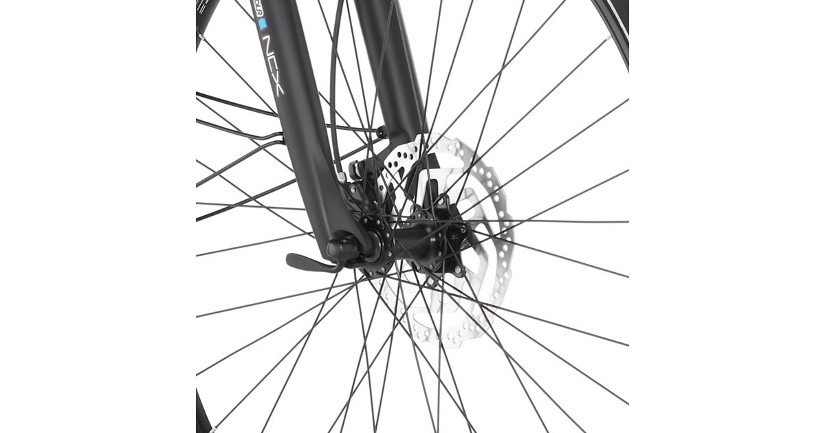 FISCHER Fahrrad Viator ETD 1861, Pedelec(schwarz (matt), 28