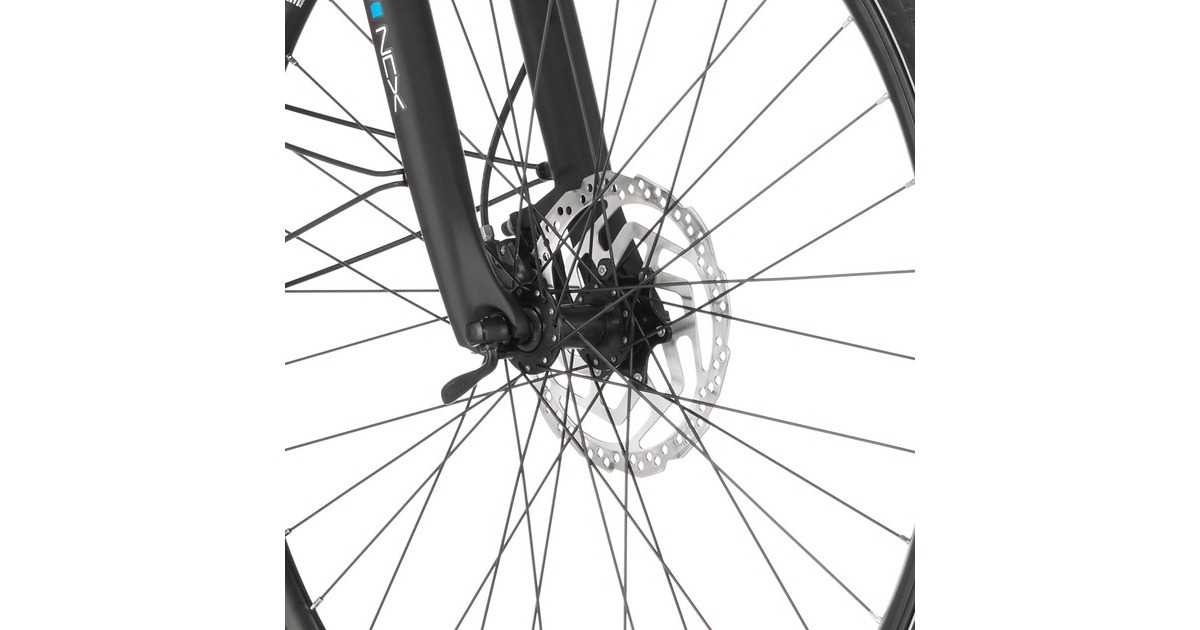 FISCHER Fahrrad Viator ETH 1861, Pedelec(schwarz (matt), 50 cm Rahmen, 28