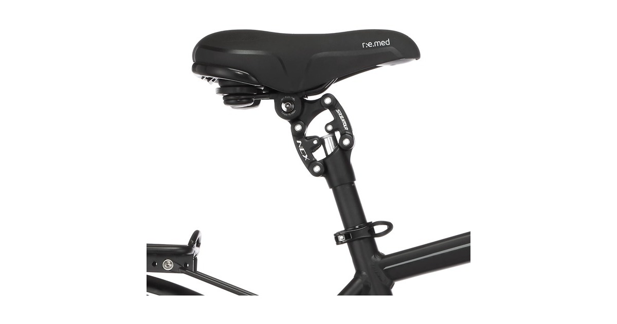 FISCHER Fahrrad Viator ETH 1861, Pedelec(schwarz (matt), 50 cm Rahmen, 28