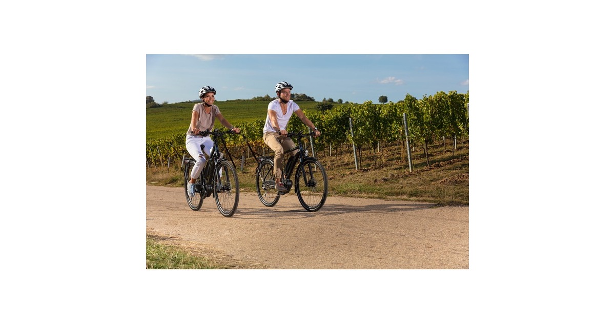 FISCHER Fahrrad Viator ETH 1861, Pedelec(schwarz (matt), 50 cm Rahmen, 28