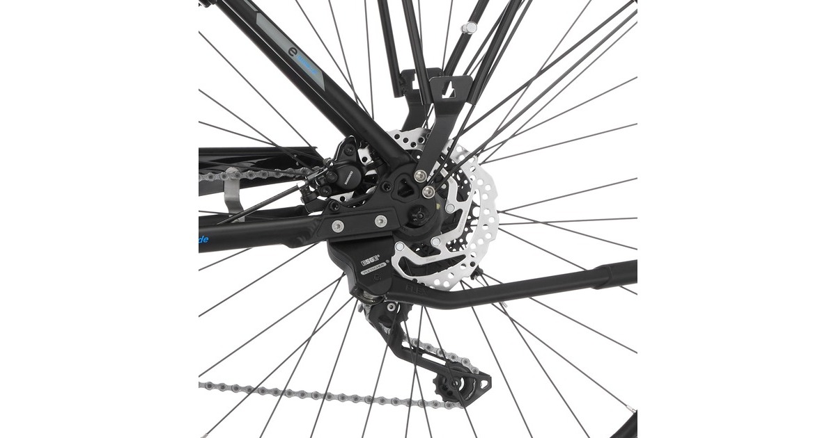 FISCHER Fahrrad Viator ETH 1861, Pedelec(schwarz (matt), 50 cm Rahmen, 28