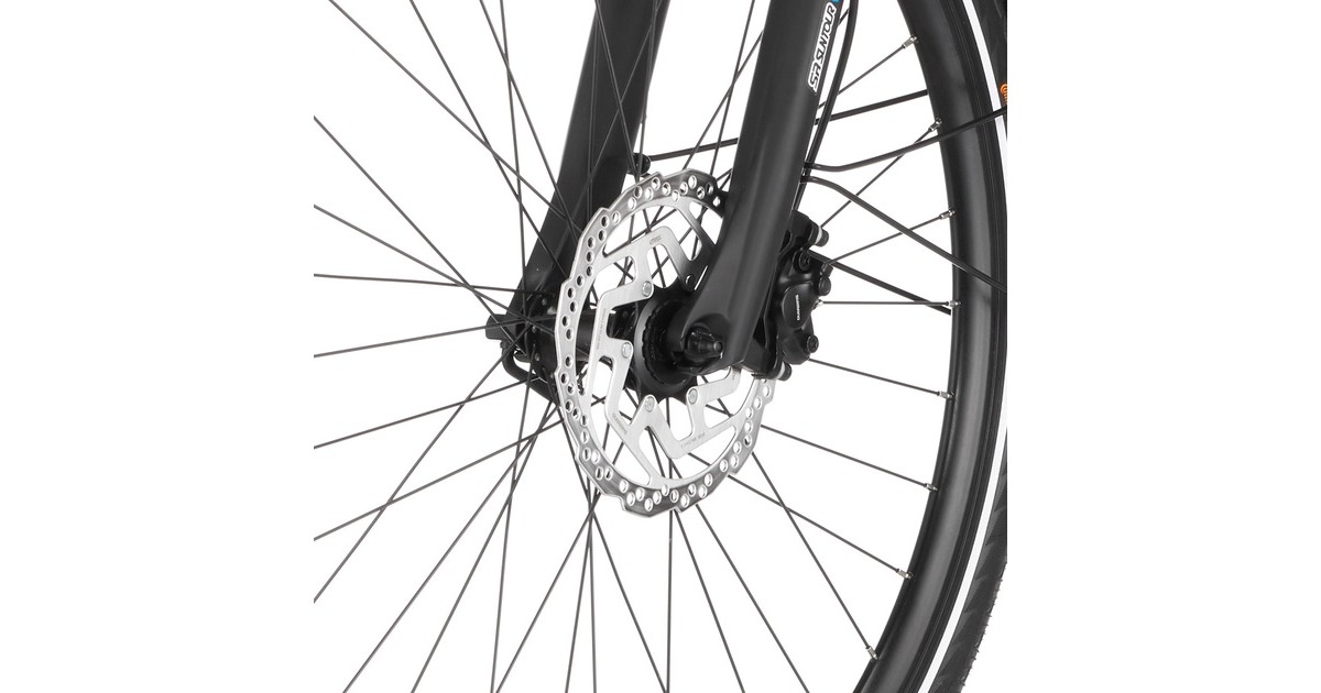 FISCHER Fahrrad Viator ETH 1861, Pedelec(schwarz (matt), 50 cm Rahmen, 28