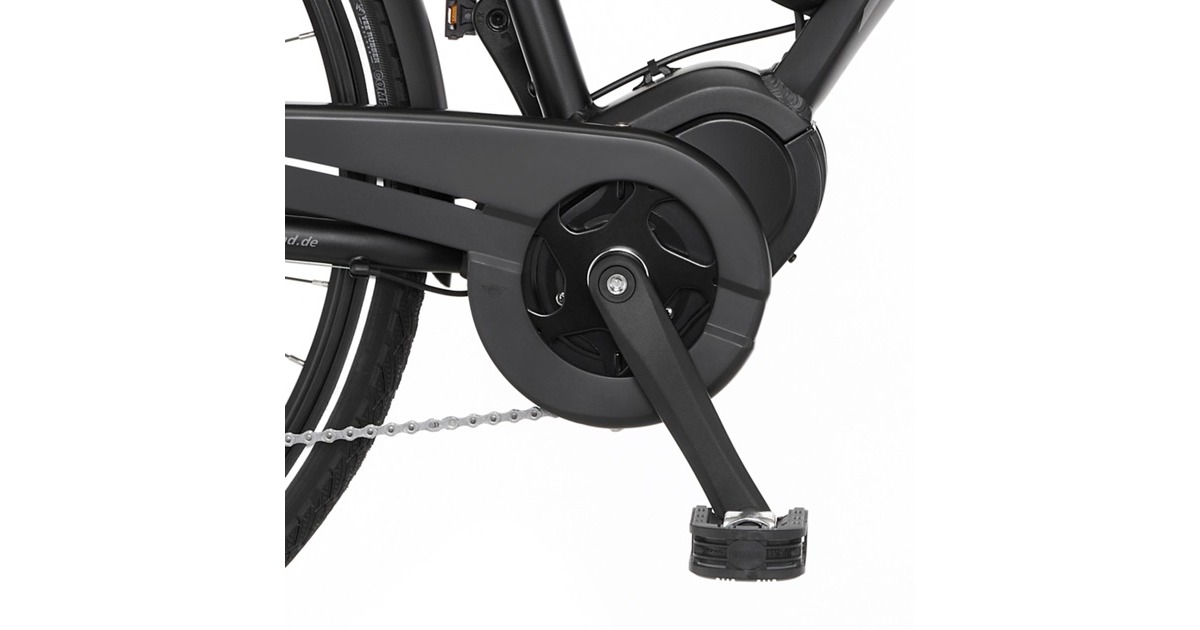 FISCHER Fahrrad Viator ETH 1861, Pedelec(schwarz (matt), 28