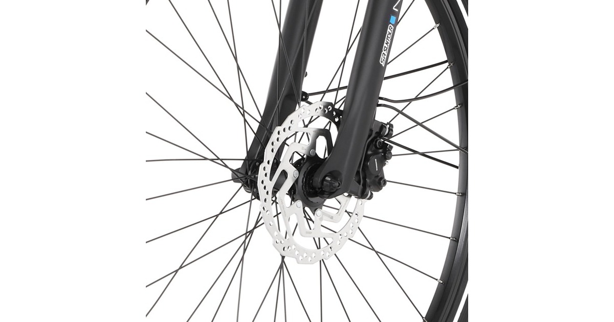 FISCHER Fahrrad Viator ETH 1861, Pedelec(schwarz (matt), 28