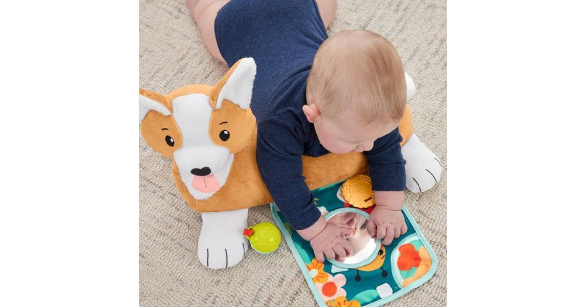 Fisher-Price 3-in-1 Hündchen Spielkissen, Kuscheltier