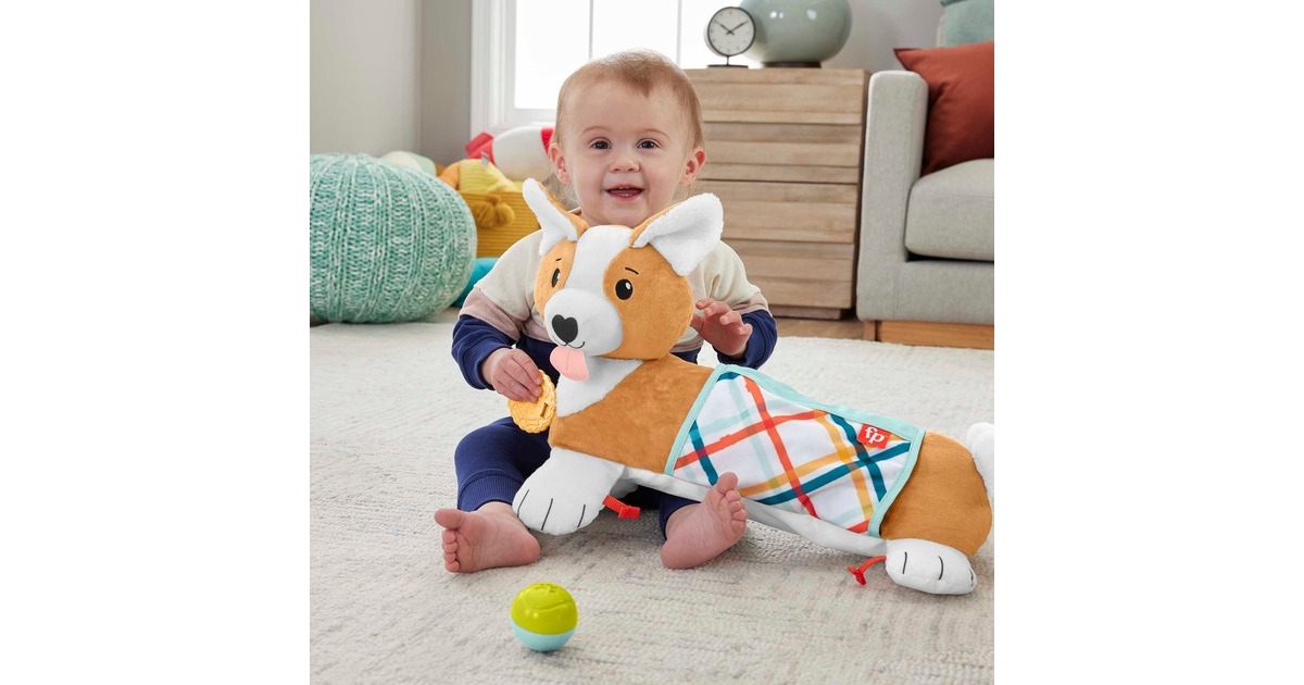 Fisher-Price 3-in-1 Hündchen Spielkissen, Kuscheltier