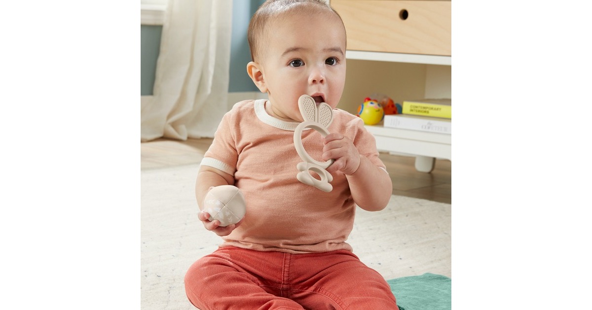 Fisher-Price So Many Senses Gift Set (Sensimals '24), Beißring