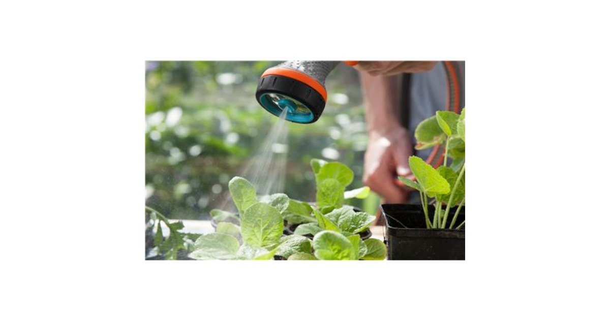 GARDENA Comfort Brause für empfindliche Pflanzen (18321-20), Sprühpistole(grau/orange)