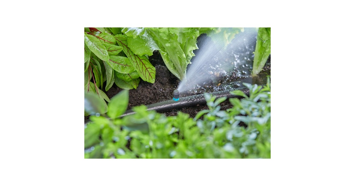 GARDENA Micro-Drip-System Endstreifendüse, 5 Stück(schwarz/türkis, Modell 2023)