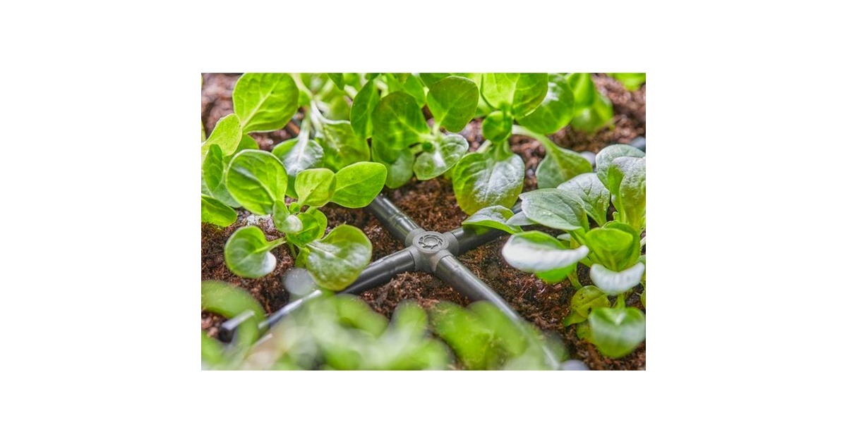 GARDENA Micro-Drip-System Kreuzstück 4,6mm (3/16