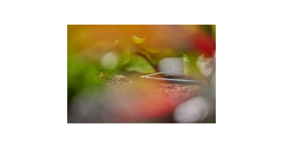 GARDENA Micro-Drip-System L-Stück 4,6mm (3/16