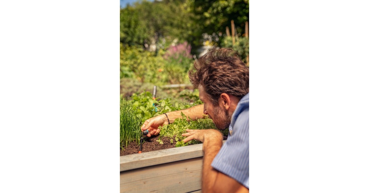 GARDENA Micro-Drip-System Regulierbarer Reihentropfer 1-8 l/h, druckkompensierend(schwarz/türkis, 5 Stück, Modell 2023)