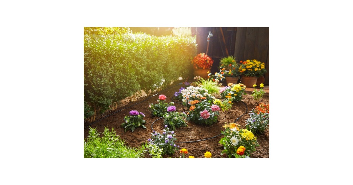 GARDENA Micro-Drip-System Start-Set Pflanzreihen S, Tropfsystem(schwarz, 15 Meter)