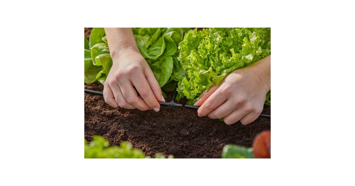GARDENA Micro-Drip-System T-Stück 4,6mm (3/16
