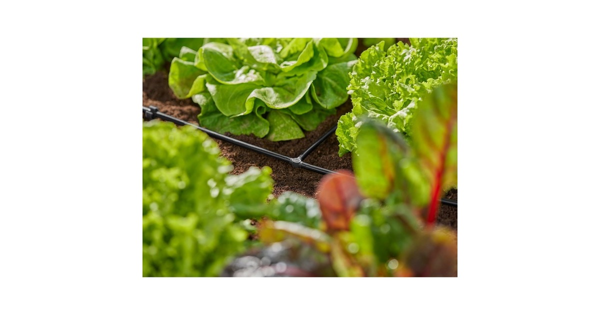 GARDENA Micro-Drip-System T-Stück 4,6mm (3/16