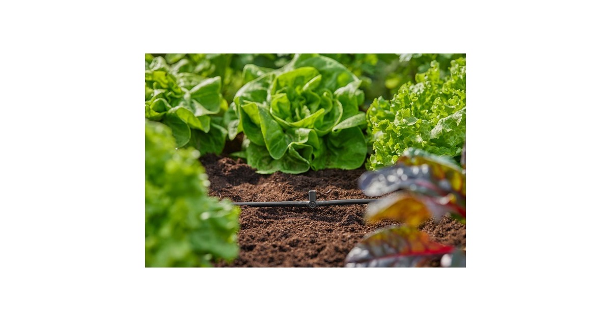 GARDENA Micro-Drip-System T-Stück für Sprühdüsen/Endtropfer, 4,6mm (3/16