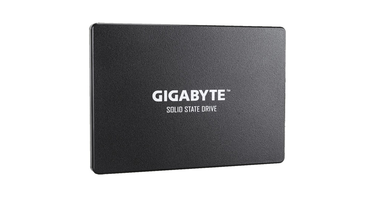 GIGABYTE SSD 1TB(schwarz, SATA 6 Gb/s, 2,5")