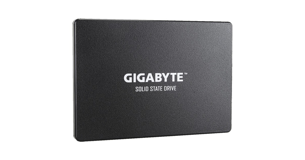 GIGABYTE SSD256 GB(schwarz, SATA 6 Gb/s, 2,5")