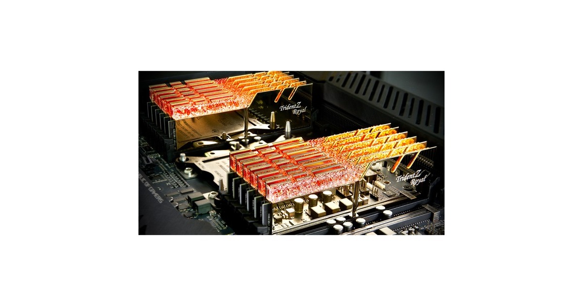 G.Skill DIMM 32 GB DDR4-3600 (2x 16 GB) Dual-Kit, Arbeitsspeicher(gold, F4-3600C14D-32GTRGA, Trident Z Royal, INTEL XMP)