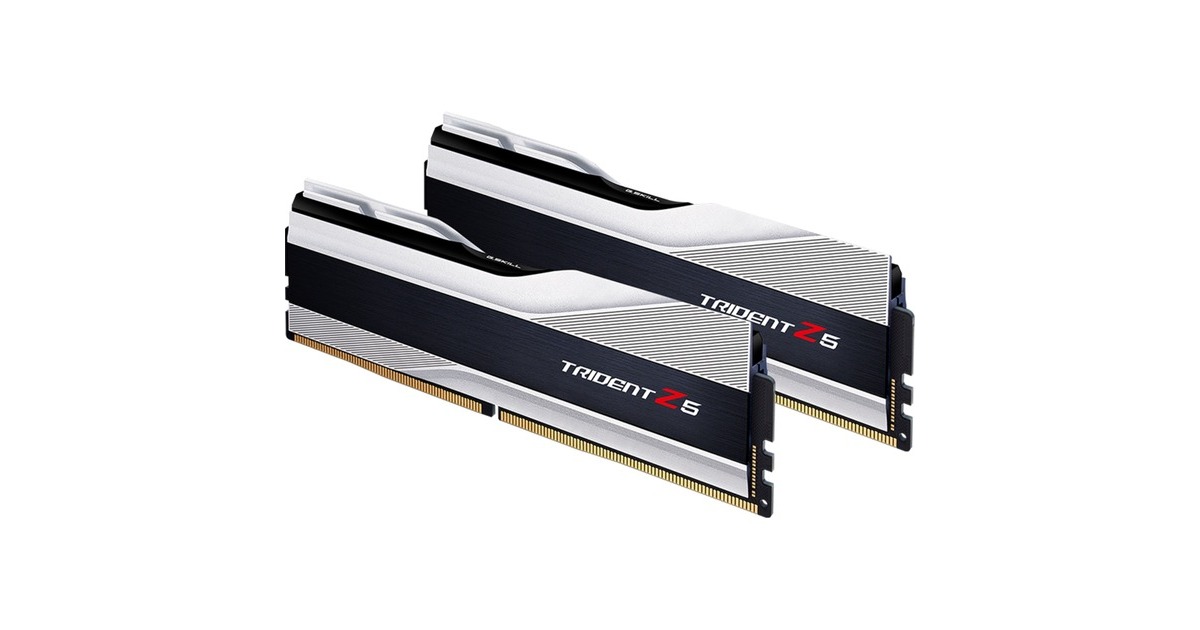 G.Skill DIMM 32 GB DDR5-5600 (2x 16 GB) Dual-Kit, Arbeitsspeicher(silber/schwarz, F5-5600J4040C16GX2-TZ5S, Trident Z5, INTEL XMP)