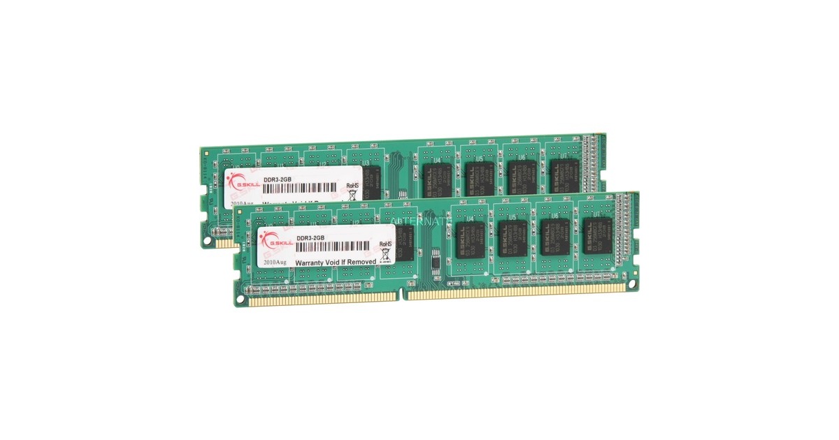 G.Skill DIMM 4 GB DDR3-1333 (2x 2 GB) Dual-Kit, Arbeitsspeicher(F3-10600CL9D-4GBNS, NS, Lite Retail)