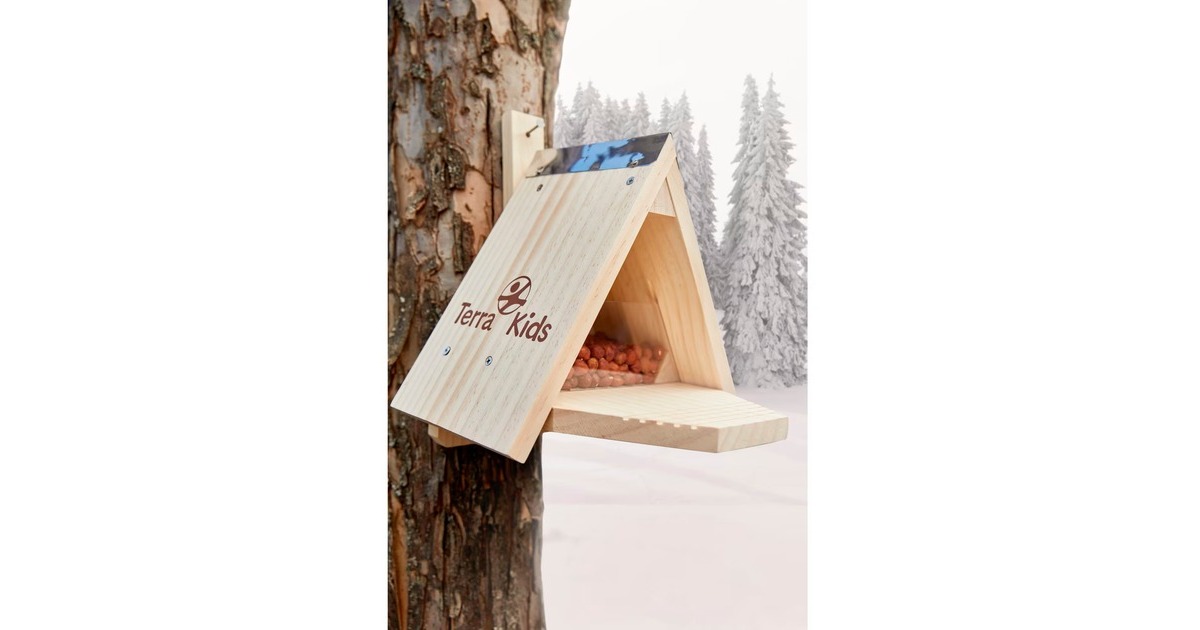 HABA Terra Kids Eichhörnchen Futterhaus-Bausatz, Experimentierkasten