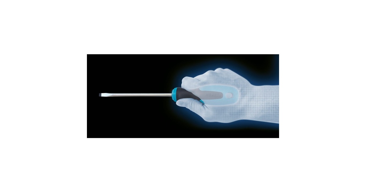 Hazet Schraubendreher-Satz 810/6PZ, 6-teilig(blau/schwarz, Rutschfester HAZET-3-Komponenten-Griff)