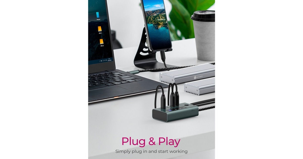 ICY BOX IB-HUB1454-C31, USB-Hub